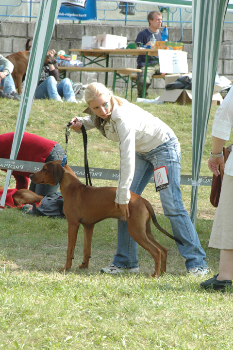 Svojanov3.web.jpg