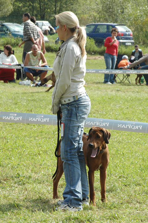 Svojanov4.web.jpg