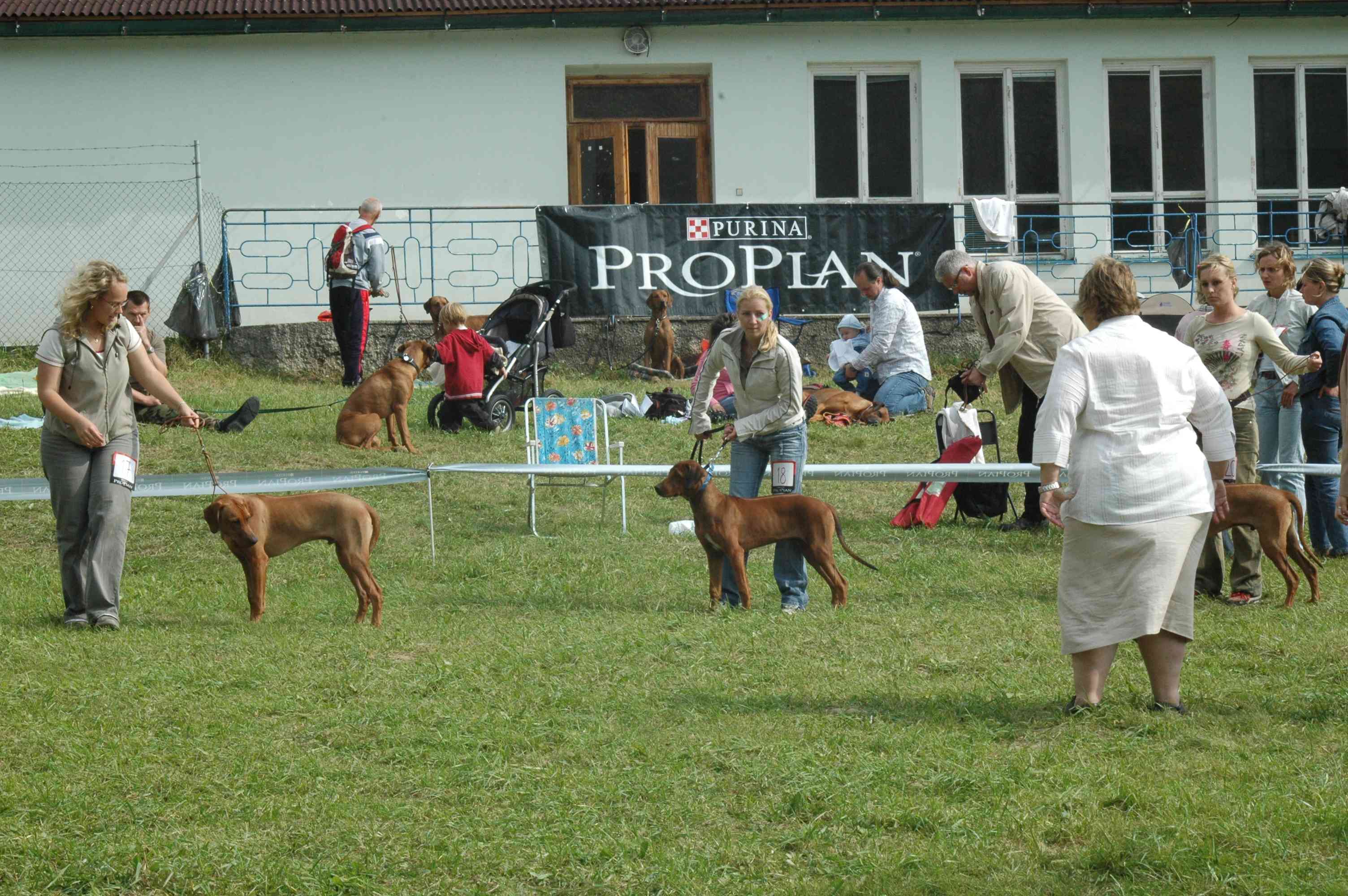 Svojanov.jpg